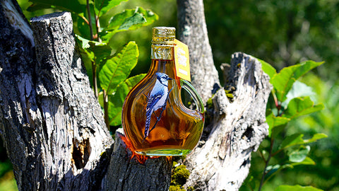 Blue Jay 250ml Glass Bottle Maple Syrup